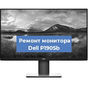 Замена шлейфа на мониторе Dell P190Sb в Новосибирске